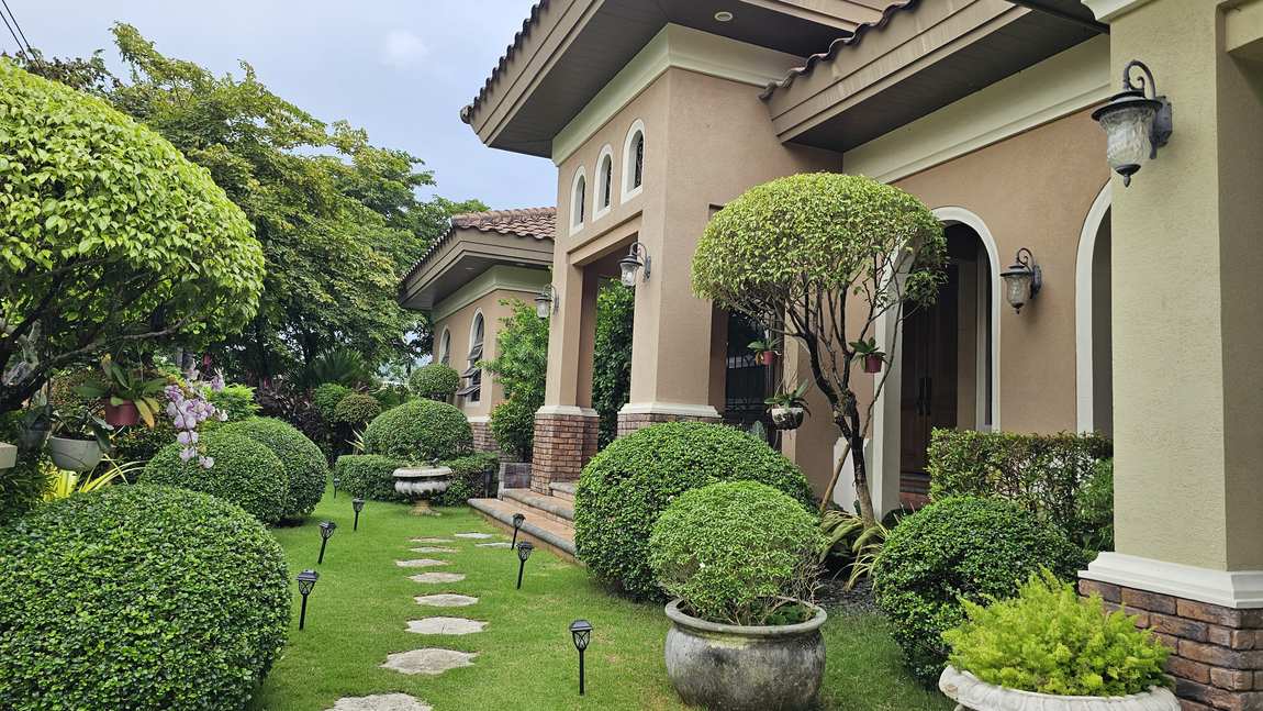 Landscaped premium front garden with clipped topiary leading to the arched main entrance