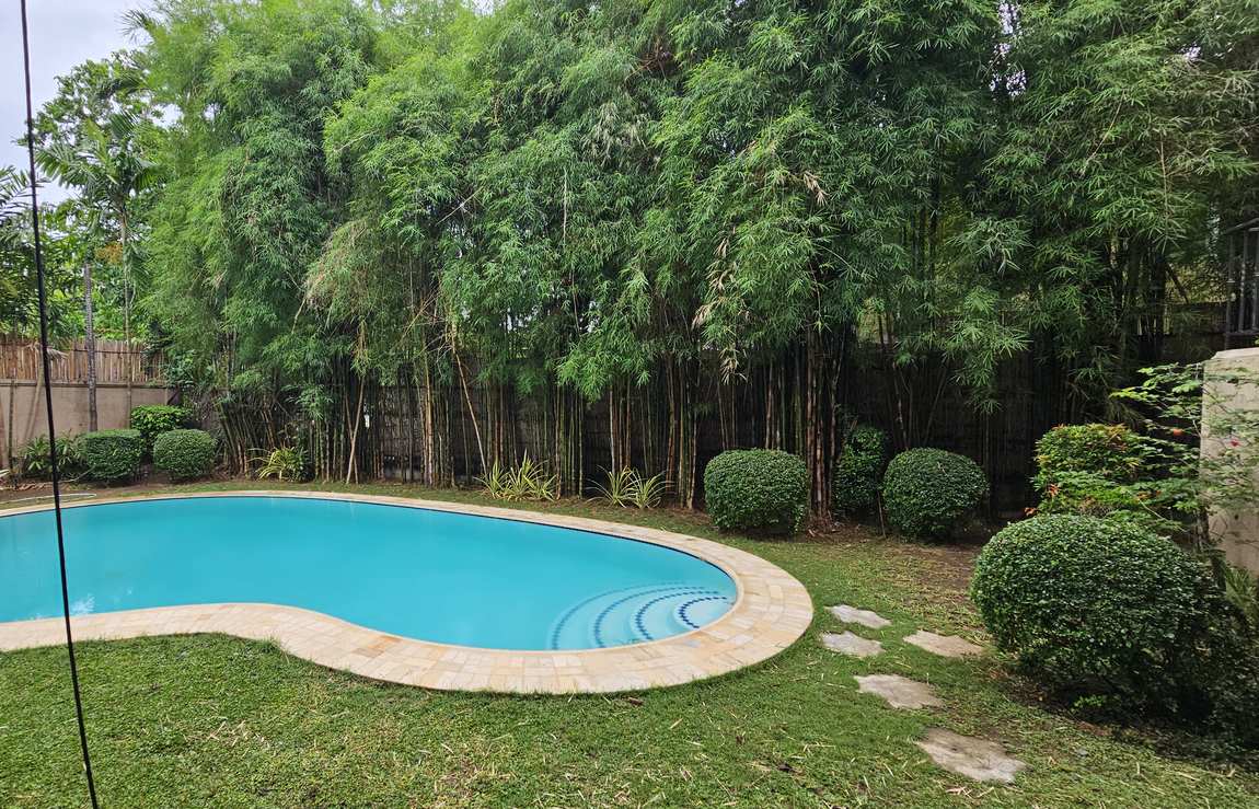 Kidney-shaped swimming pool surrounded by lawn, topiary and a mature bamboo privacy screen